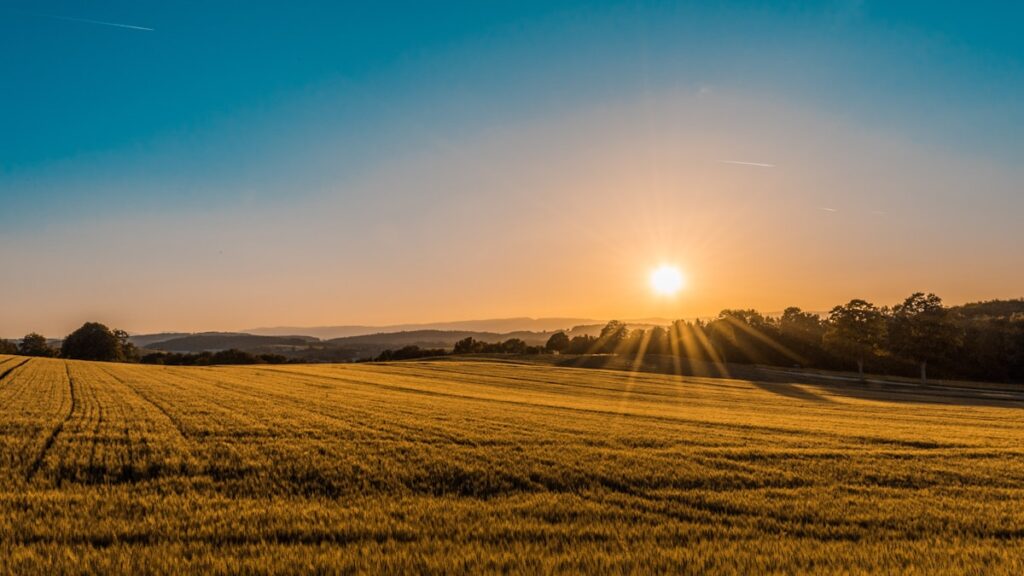 Understanding Land Titles in Kenya: Freehold vs Leasehold